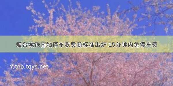 烟台城铁南站停车收费新标准出炉 15分钟内免停车费