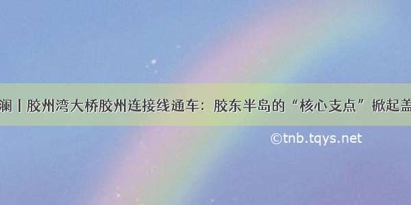 观澜丨胶州湾大桥胶州连接线通车：胶东半岛的“核心支点”掀起盖头