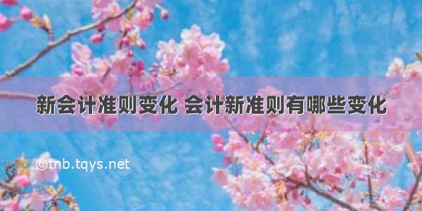 新会计准则变化 会计新准则有哪些变化