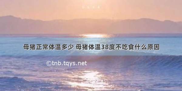 母猪正常体温多少 母猪体温38度不吃食什么原因