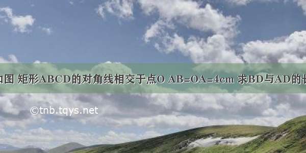 如图 矩形ABCD的对角线相交于点O AB=OA=4cm 求BD与AD的长．