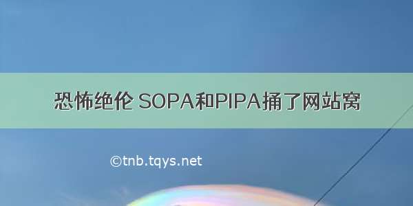 恐怖绝伦 SOPA和PIPA捅了网站窝