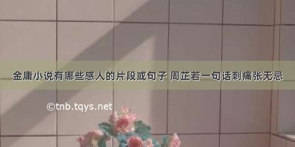 金庸小说有哪些感人的片段或句子 周芷若一句话刺痛张无忌