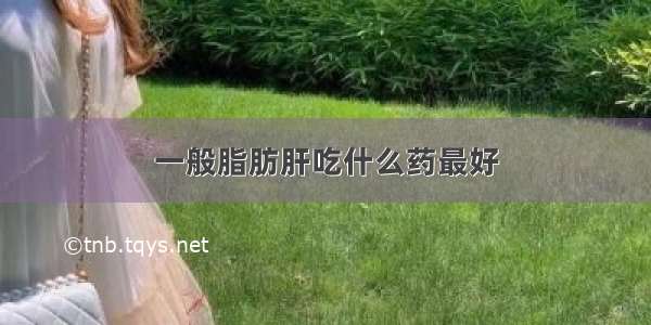 一般脂肪肝吃什么药最好