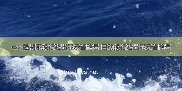 css 强制不换行超出显示省略号 自动换行超出显示省略号