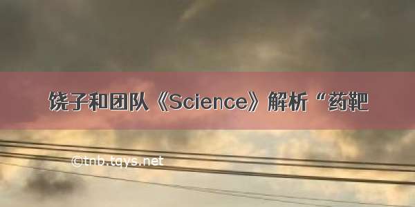 饶子和团队《Science》解析“药靶