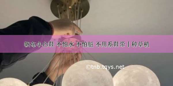 帆布小白鞋 不怕水 不怕脏 不用系鞋带丨种草机