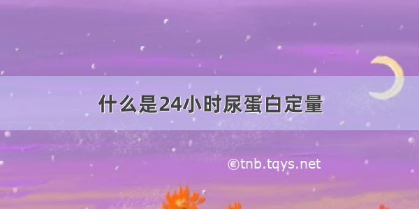 什么是24小时尿蛋白定量