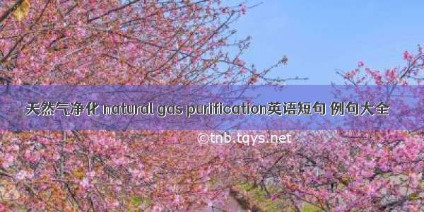 天然气净化 natural gas purification英语短句 例句大全