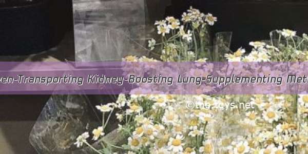 健脾补肾益肺法 The Spleen-Transporting Kidney-Boosting Lung-Supplementing Method英语短句 例句大全