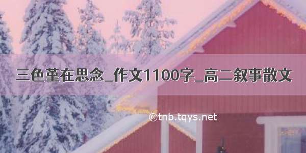 三色堇在思念_作文1100字_高二叙事散文