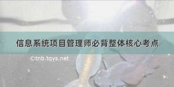 信息系统项目管理师必背整体核心考点