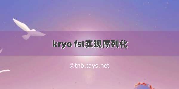 kryo fst实现序列化