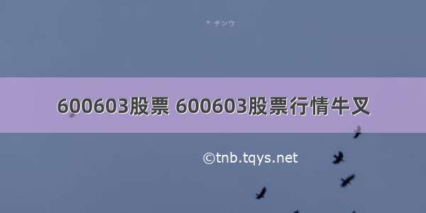 600603股票 600603股票行情牛叉