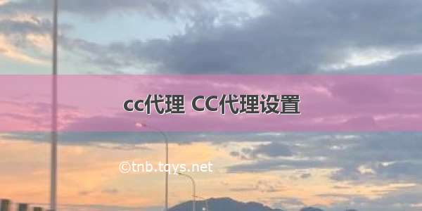 cc代理 CC代理设置