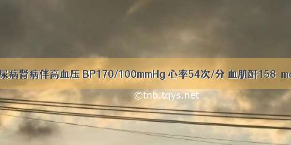 女 50岁。糖尿病肾病伴高血压 BP170/100mmHg 心率54次/分 血肌酐158μmol/L。最适