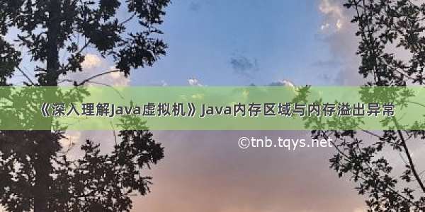 《深入理解Java虚拟机》Java内存区域与内存溢出异常