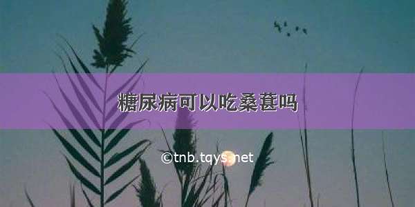 糖尿病可以吃桑葚吗