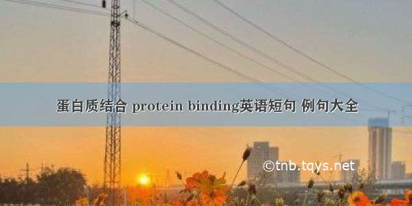 蛋白质结合 protein binding英语短句 例句大全