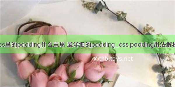 css里的padding什么意思 最详细的padding_css padding用法解析