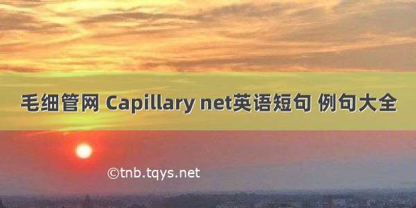 毛细管网 Capillary net英语短句 例句大全