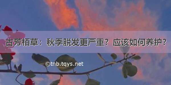 古芳栢草：秋季脱发更严重？应该如何养护？