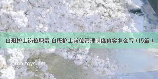 白班护士岗位职责 白班护士岗位管理制度内容怎么写 (15篇）