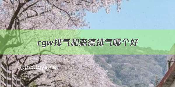 cgw排气和森德排气哪个好