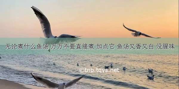 无论煮什么鱼汤 万万不要直接煮 加点它 鱼汤又香又白 没腥味