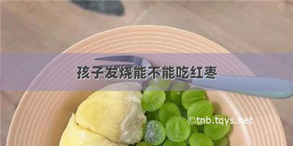 孩子发烧能不能吃红枣