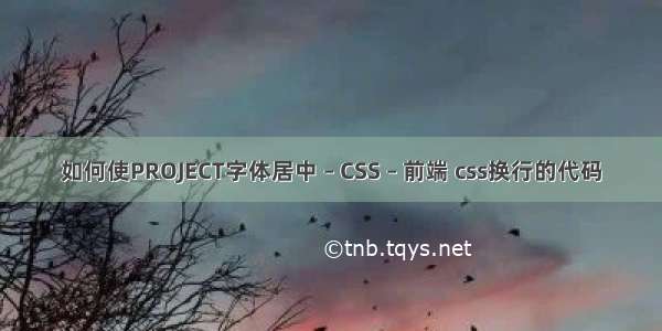 如何使PROJECT字体居中 – CSS – 前端 css换行的代码