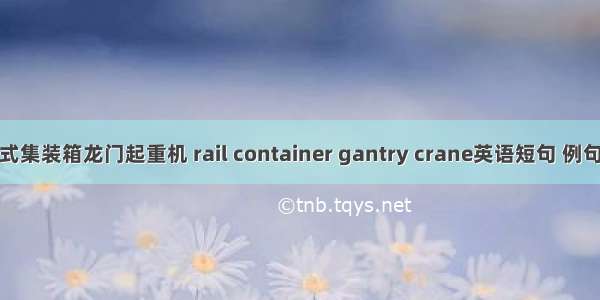 轨道式集装箱龙门起重机 rail container gantry crane英语短句 例句大全