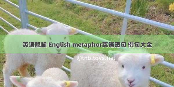 英语隐喻 English metaphor英语短句 例句大全