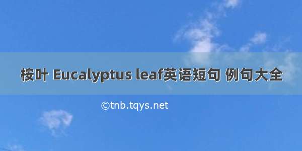 桉叶 Eucalyptus leaf英语短句 例句大全