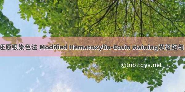 Holmes还原银染色法 Modified Hematoxylin-Eosin staining英语短句 例句大全