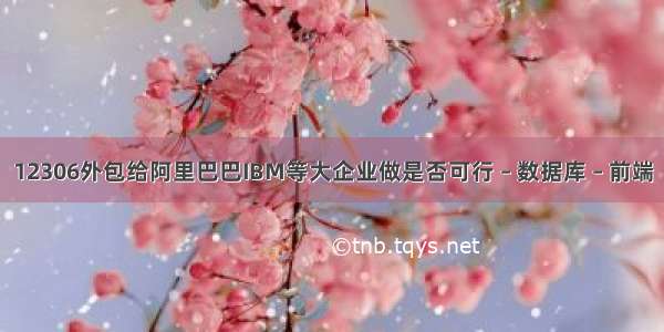 12306外包给阿里巴巴IBM等大企业做是否可行 – 数据库 – 前端