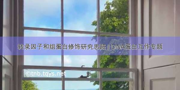 转录因子和组蛋白修饰研究思路 | DNA蛋白互作专题