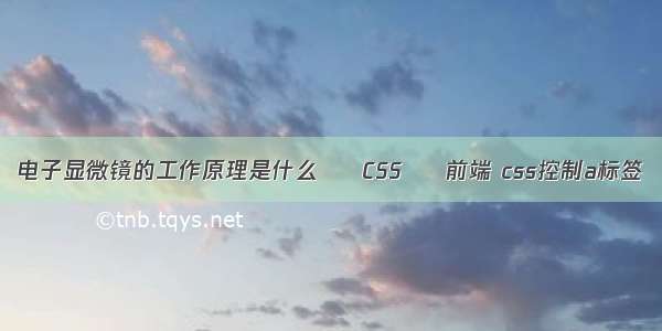 电子显微镜的工作原理是什么 – CSS – 前端 css控制a标签