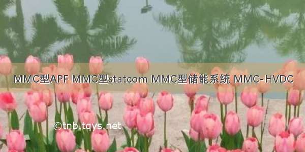 MMC型APF MMC型statcom MMC型储能系统 MMC-HVDC