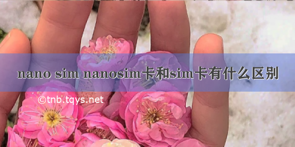 nano sim nanosim卡和sim卡有什么区别