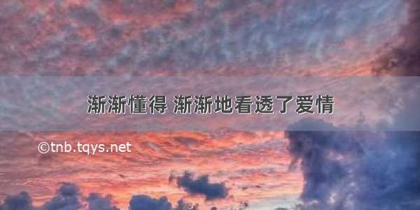 渐渐懂得 渐渐地看透了爱情