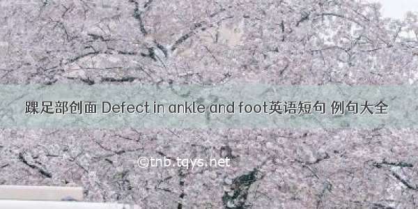 踝足部创面 Defect in ankle and foot英语短句 例句大全