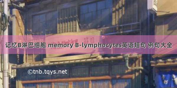 记忆B淋巴细胞 memory B-lymphocytes英语短句 例句大全