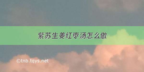 紫苏生姜红枣汤怎么做