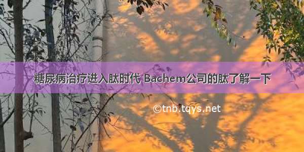 糖尿病治疗进入肽时代 Bachem公司的肽了解一下