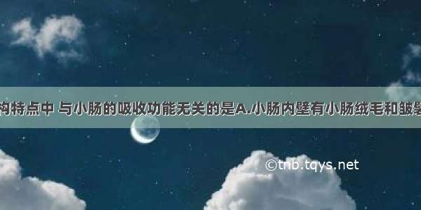 下列小肠结构特点中 与小肠的吸收功能无关的是A.小肠内壁有小肠绒毛和皱襞结构B.小肠