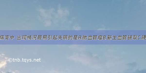 糖尿病眼底病变中 出现情况最易引起失明的是A.微血管瘤B.新生血管破裂C.硬性渗出物D.