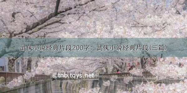 武侠小说经典片段200字：武侠小说经典片段(三篇)