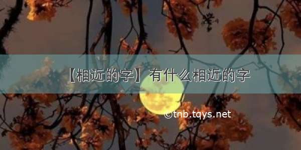 【相近的字】有什么相近的字