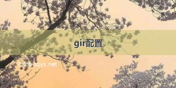 gir配置